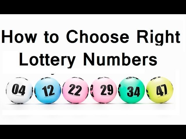 What Could You Do To Choose The Right Lottery Number